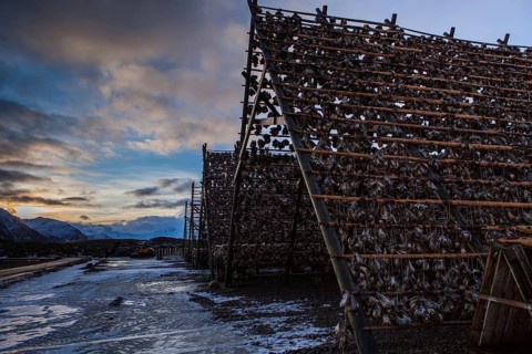 Dried fish