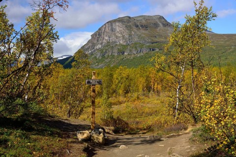Trekking Nikkaluokta