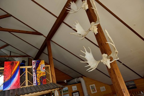Elk antlers