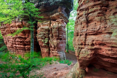 Old Castle Rock Natural Monument