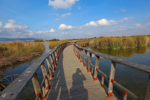 Daimiel