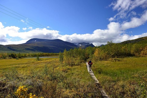 Trekking Nikkaluokta