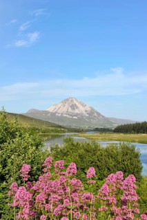 View of Mount Errigal from Gweedore