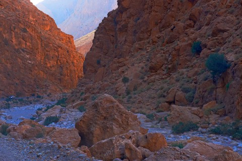 Todra Gorge