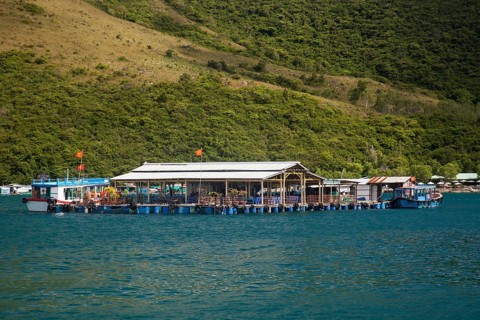 Floating houses in front of Ho Ca Tri Nguyen Island