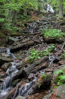 Mountain stream Hoellbach