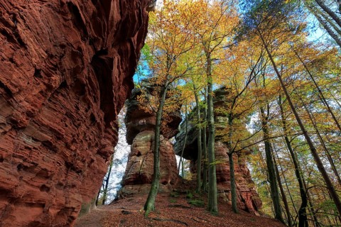 Natural Monument