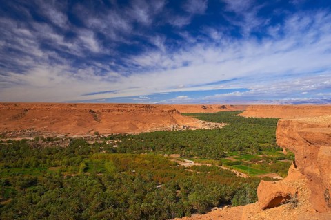Tafilalet Oasis