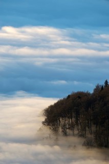 View from Hohneck