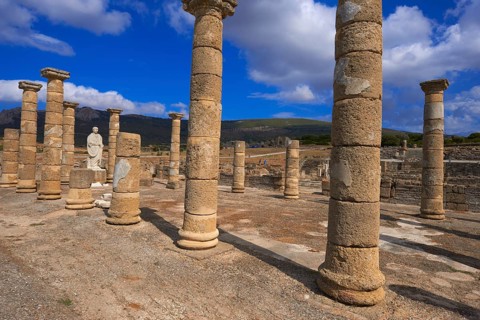 Bolonia