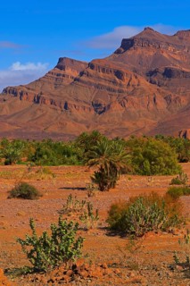 Djebel Kissane