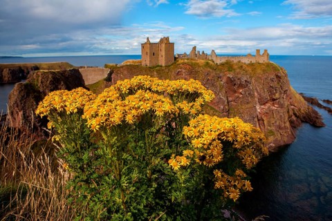 Dunnottar Castle