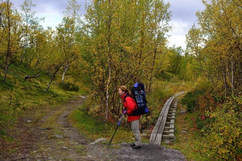 Trekking Nikkaluokta