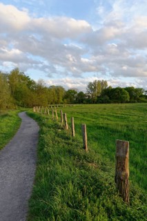 Path in the conservation area Schwalm-Nette