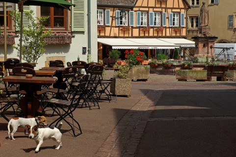 Eguisheim