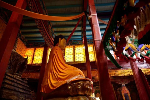 Buddha statue