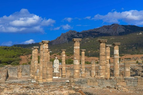 Bolonia