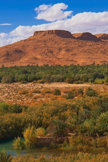 Tafilalet Oasis