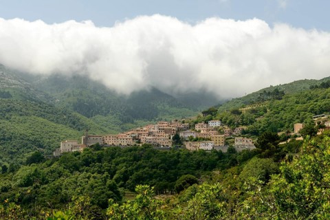 Marciana