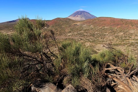 Tenerife