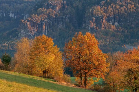 View from Mittelndorf over the Kirnitzschtal