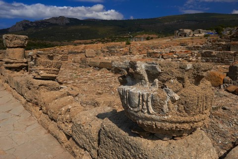 Bolonia
