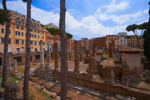 Area Sacra