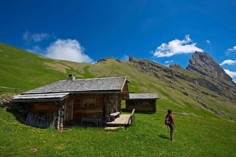 Alpine pasture on the Seceda with Geislerspitzen