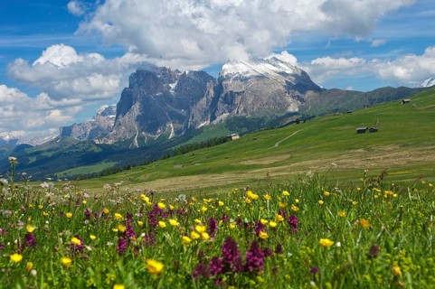 Alpe di Siusi with Sassolungo and Sassolungo