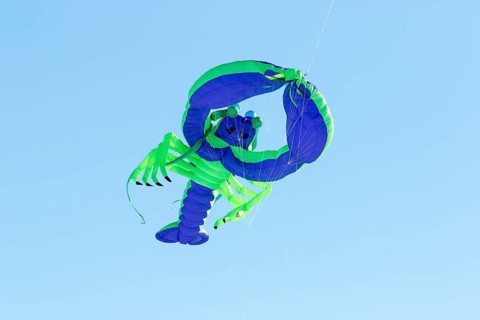 Lobster Foam Kite