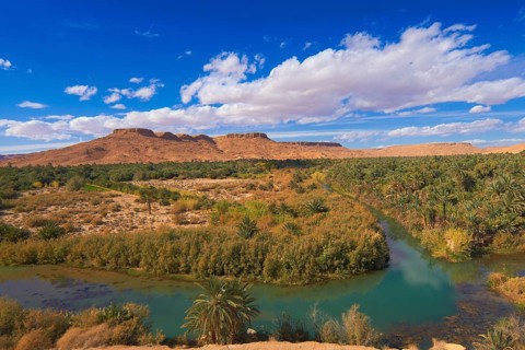 Tafilalet Oasis