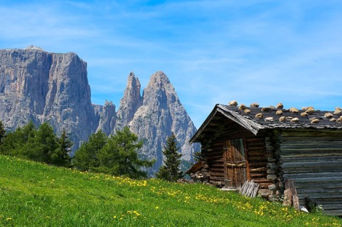 Alpine pasture on the Alpe di Siusi with Sciliar