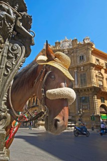 Horse-drawn carriage in Palermo