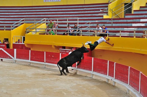Bullfight
