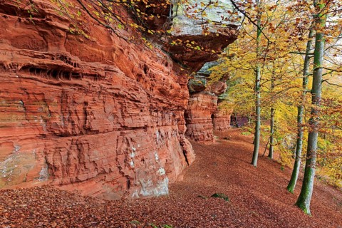 Natural Monument