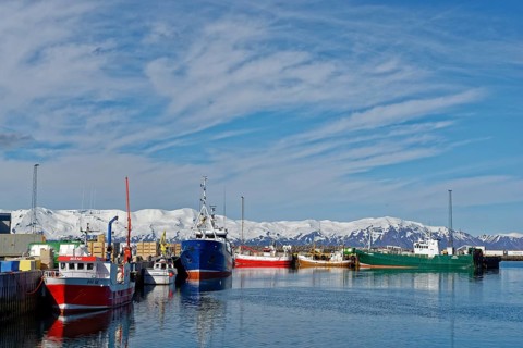 Fishing trawler in the harbour of Husavik