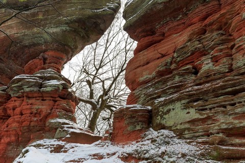 Natural Monument