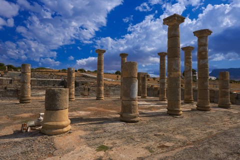 Bolonia