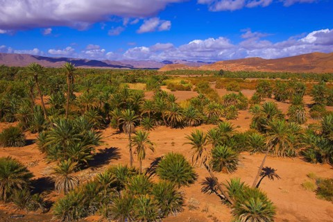 Djebel Kissane