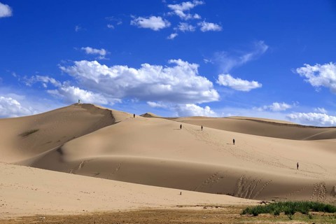 Dune