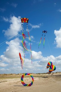 Stunt kite on the beach of