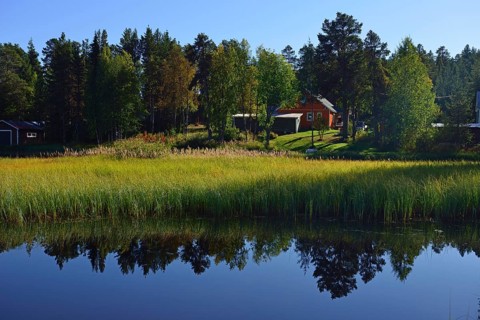 Near Renviken