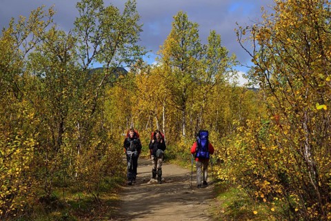 Trekking Nikkaluokta