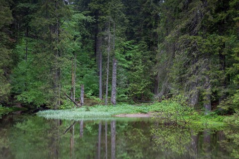 Hoellbach mountain stream