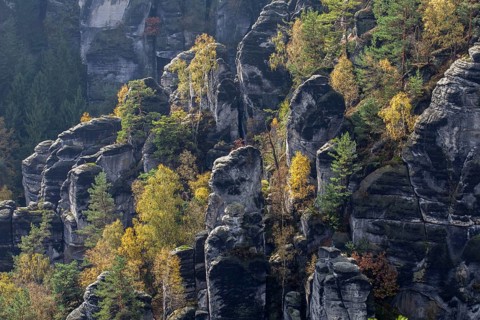 Pavilion view in the Bastei area
