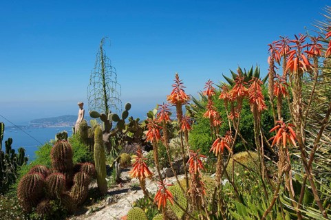 Jardin Exotique in Eze