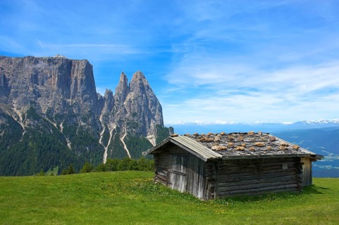 Alpine pasture on the Alpe di Siusi with Sciliar