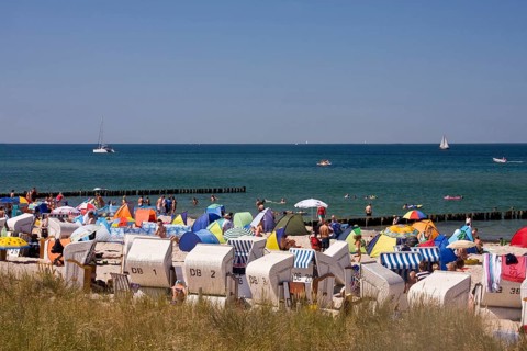 Beach chairs