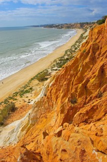 Falesia Beach