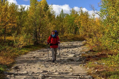 Trekking Nikkaluokta